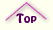 Top of Page